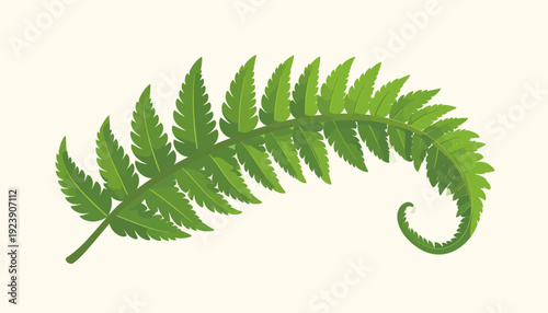A flat design illustration of a green fern leaf with curled tip, showcasing nature's beauty and delicate foliage in a simple, elegant style.