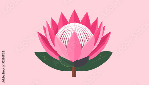 A vibrant pink lotus flower illustration in flat design, showcasing petals and leaves from a top view