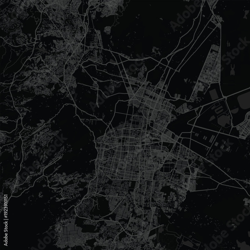 Mexico City City Map Elegant Monochrome Schematic Featuring Balanced Cartographic Precision, Ideal for Modern Home Decor and Minimalist Office Wall Styling, emphasizing refined linework.