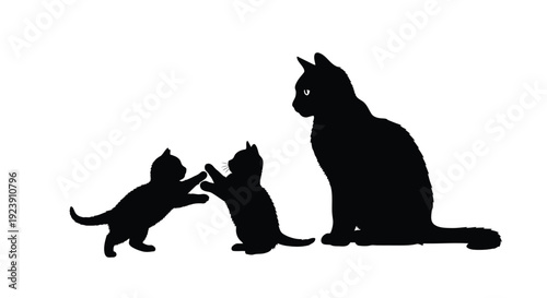 A mother cat watches her playful kittens in dark silhouette