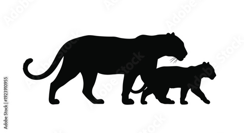 A majestic mother tiger and cub depicted in striking silhouette
