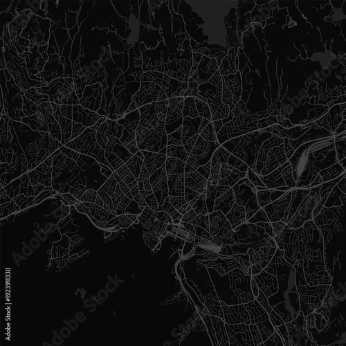 Oslo City Map Sophisticated Linework Showcasing Refined Urban Topographic Structure, Perfect for Minimalist Home Gallery and Sleek Scandinavian Aesthetics, emphasizing refined linework.