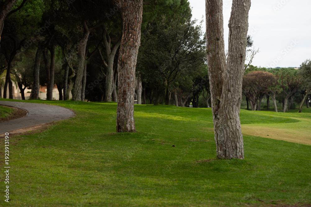 Obraz premium Golf Course Landscape with Green Grass and Trees