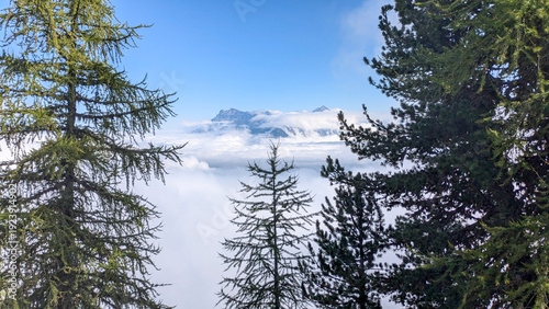 The Tour du Mont Blanc crosses France, Italy, and Switzerland, offering breathtaking views of glaciers, alpine passes, and the highest peak in the Alps.