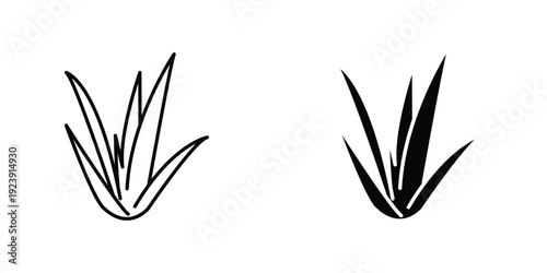 Aloe vera icon graphic design vector symbols. Best for Graphics