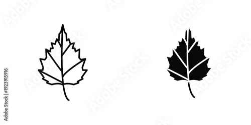 Birch leaf icon graphic design vector symbols. Best for Graphics