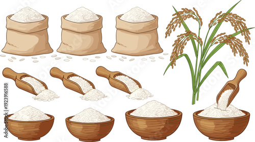 Rice sacks and bowls collection. White rice with wooden scoops and paddy plant illustration. Organic grain food set isolated on transparent background.