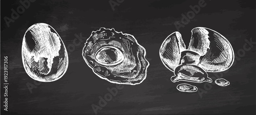 Hand drawn vintage sketch set of egg variations in chalk style on chalkboard background illustration