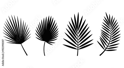 Tropical Palm Leaf Silhouettes Set