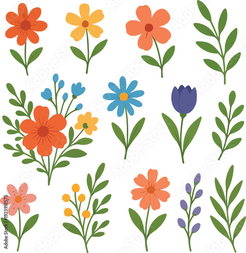 Set floral bouquet of wildflower transparent