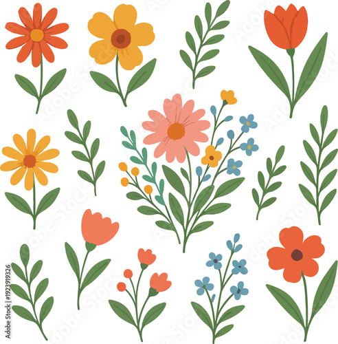 Set floral bouquet of wildflower transparent