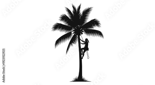 Woman Climbs Coconut Tree Silhouette with Rope