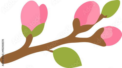 꽃봉오리,가지,핑크,초록,봄,나무,나뭇잎,네이처,식물,flower,여름,꽃,계절,love,벚꽃,매화,봄꽃,화사한