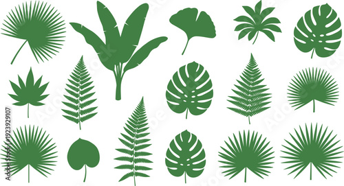 Tropical leaf vector silhouette set with monstera palm fern and banana leaves for jungle themed summer branding and minimalist nature wall art decor