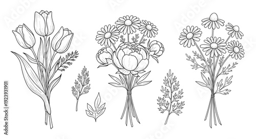 Outline Drawing of Three Beautiful Floral Bouquets: Tulips Peonies and Daisies