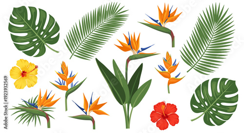 Vibrant Tropical Plants and Flowers Collection: Exotic Foliage and Blossom Elements