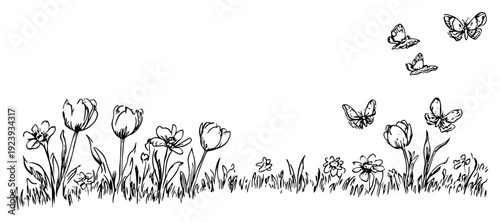 Meadow composition with blooming tulips and flying butterflies sketch
