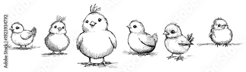 Group of cute little easter chicks standing in a row sketch