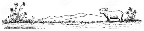 Sheep grazing in meadow with flowers and mountains landscape sketch