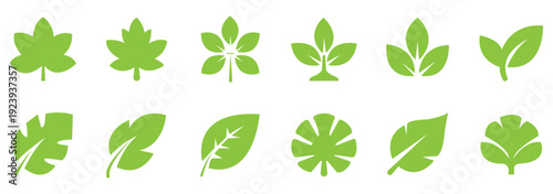 Set of green leaf icons. Leaves of trees and plants. Leaves icon. Collection green leaf. Elements design for natural, eco, vegan, bio labels. eps 10