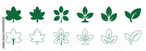 Set of green leaf icons. Leaves of trees and plants. Leaves icon. Collection green leaf. Elements design for natural, eco, vegan, bio labels. eps 10