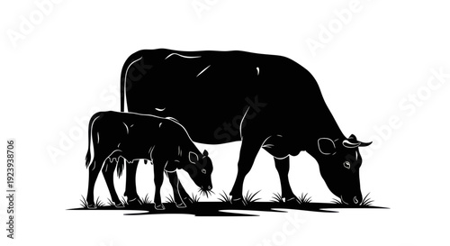 Black silhouette of a mother cow and calf grazing in a field