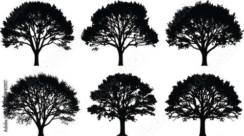 Set of black deciduous tree silhouettes with leafy branches for forest landscape nature conservation and park design vector illustration.
