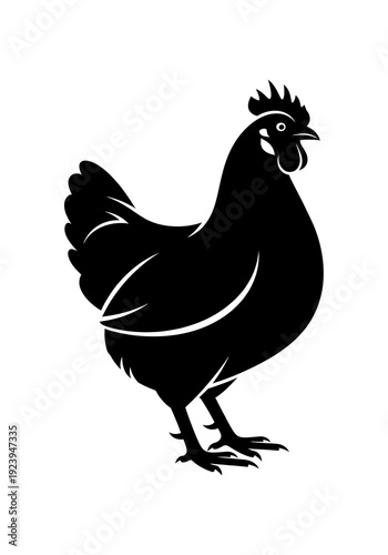 Stunning black chicken silhouette standing proudly