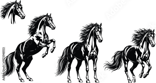 Horse silhouette vector set, wild stallion in various poses, black and white equestrian illustrations