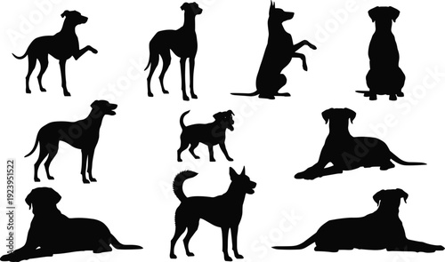 Dog silhouette collection illustration different poses standing sitting lying vector set pet animal shapes isolated on white background