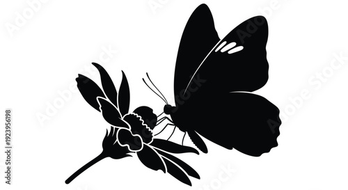 A delicate butterfly rests on a flower presented as a silhouette