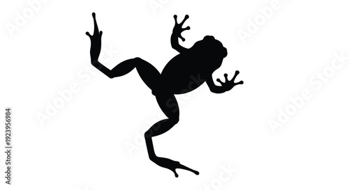 Black frog in a dynamic pose simplified form a striking silhouette