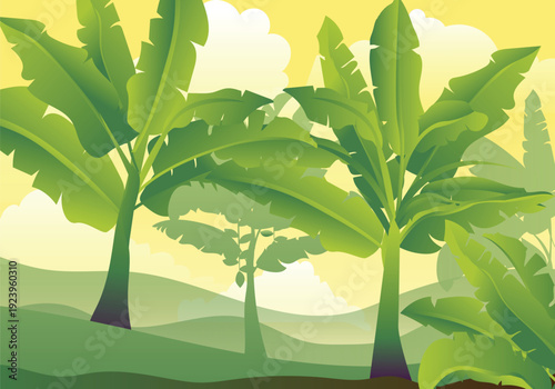 Banana farming field and banana green trees vector illustration