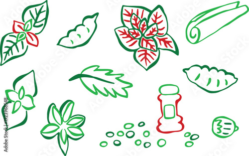 Colorful, red and green rough-line hand-drawn spice and herb illustrations. Peppercorns, nuts, cinnamon, oregano, salad mustard. Creative ingredient sketches. Isolated outlines for food projects.