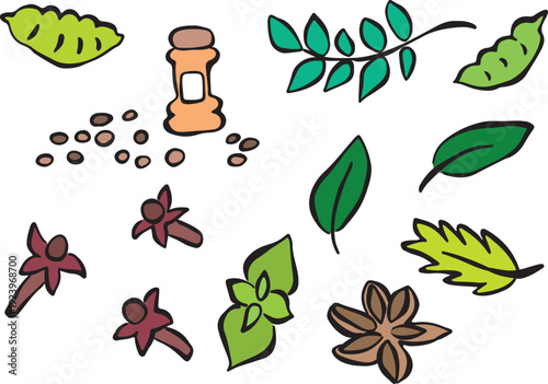 Handmade spice set with black, grungy lines. Creative culinary element. Coriander seeds, clove spice, cinnamon, oregano, bay leaf. Isolated colorful outline illustration.