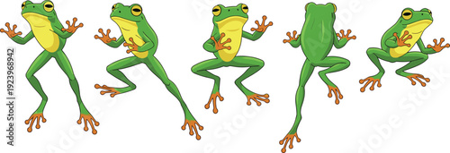 Green Tree Frog Vector Illustration Set with Different Poses and Views Featuring Tropical Amphibian Wildlife Character Design