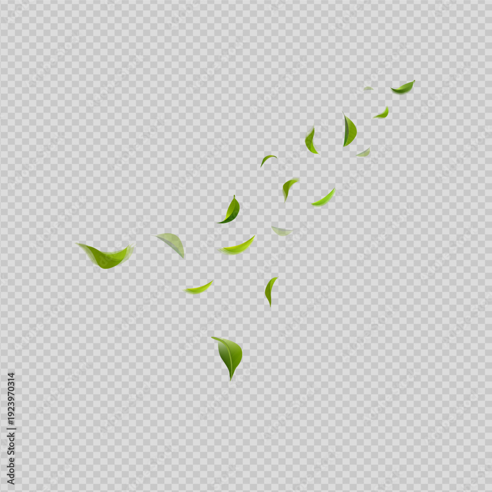 Fototapeta premium Floating green leaves isolated on transparent background natural leaf vector illustration
