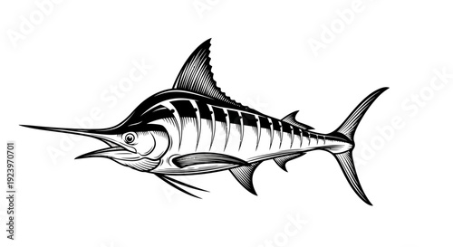Detailed illustration of a majestic marlin fish in striking black and white 1.