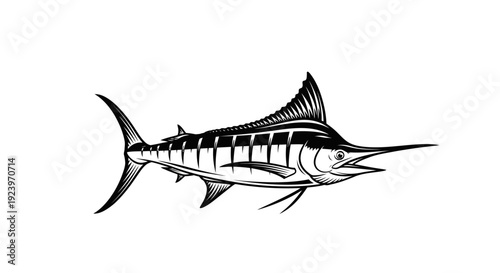 Detailed illustration of a majestic marlin fish in striking black and white.