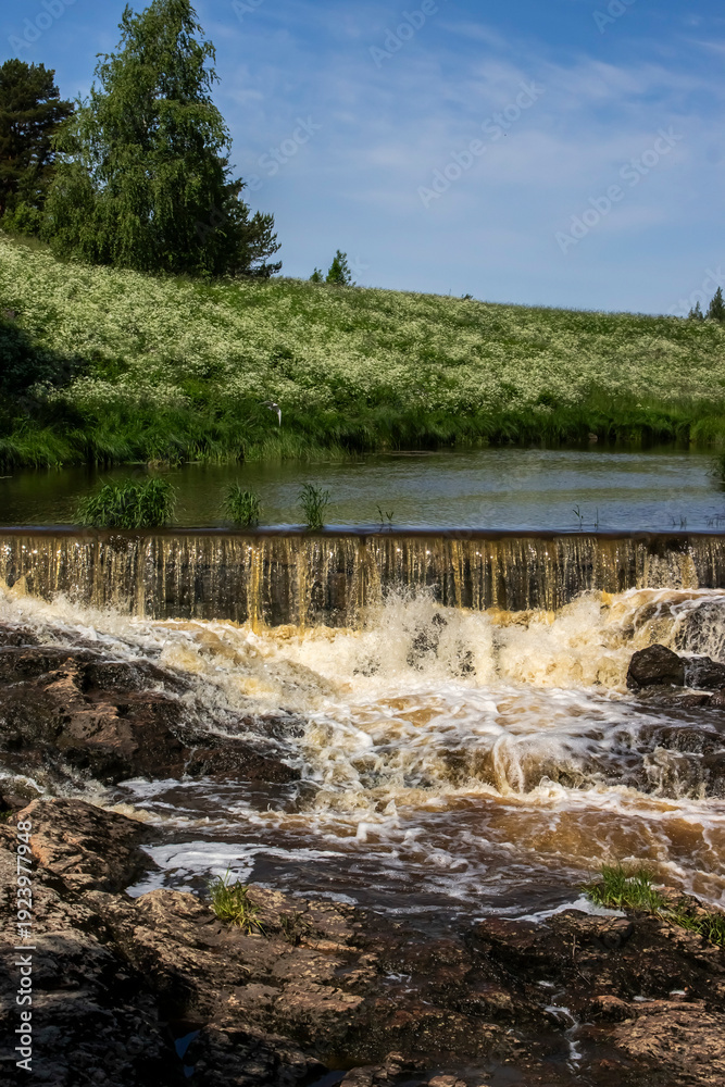 Obraz premium waterfall in the forest