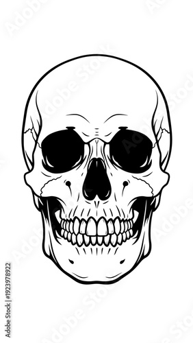Human Skull Illustration Black and White.
