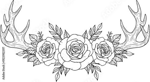 Black and white line of deer antlers and roses with leaves flower floral