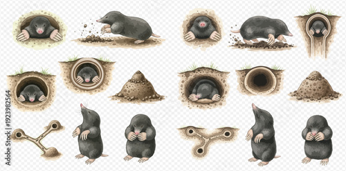 Collection of cute cartoon mole characters in various poses including digging, peeking from burrows, and standing.
