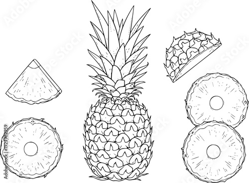 Detailed line of a whole pineapple with slices and a wedge white background fruit