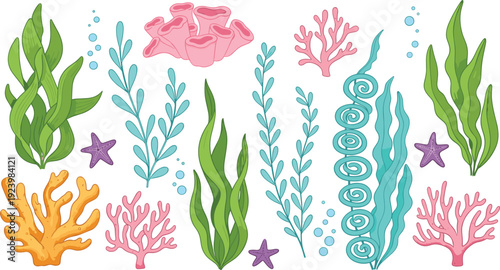 Colorful Seaweed Coral and Starfish Collection Underwater Marine Nature Illustration Set
