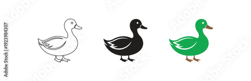A set of three simple duck icons in outline, silhouette, and solid green with brown feet, isolated on a clean white background for easy use in graphic design projects.