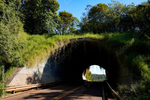 Wildlife crossing tunnel in Misiones, Argentina – Túnel de paso de fauna en Misiones, Argentina