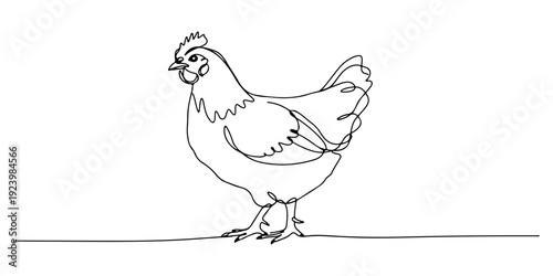 Continuous one line of a chicken, representing simplicity, life, and everyday nature, drawn illustration.