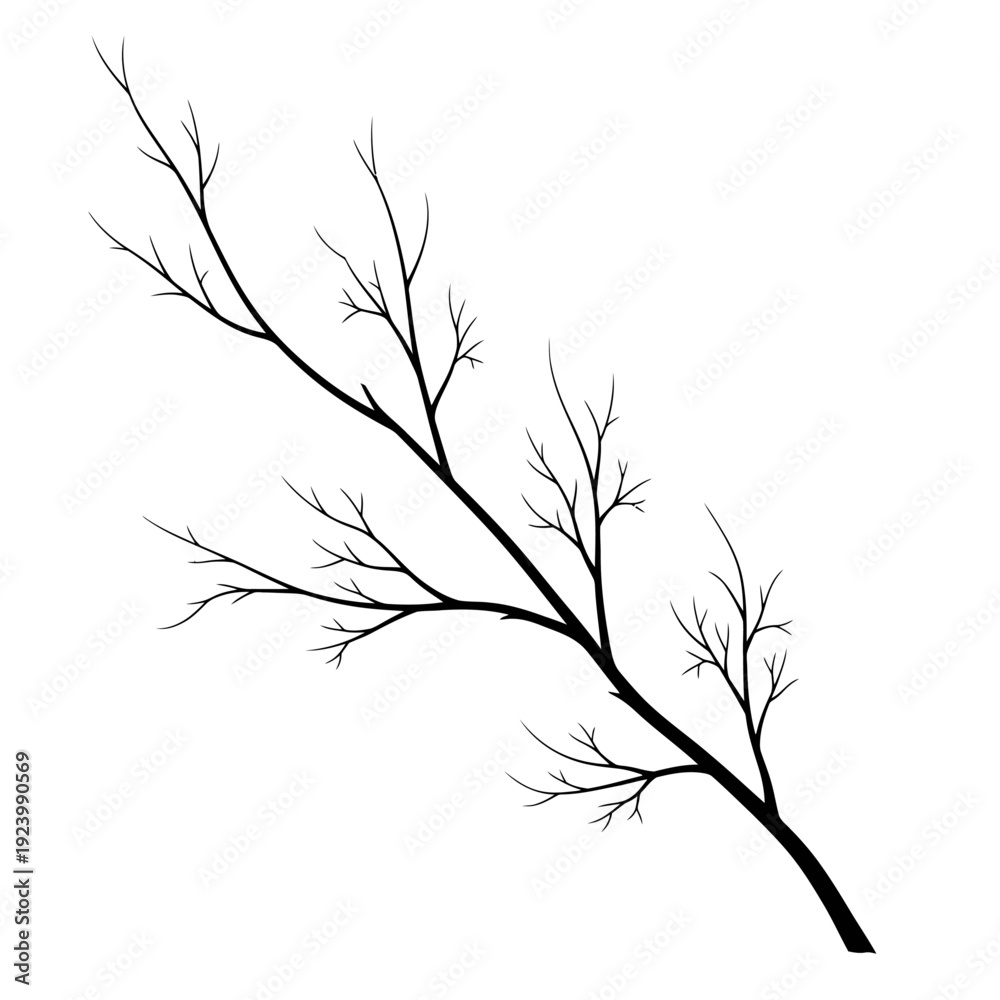 Obraz premium Bare tree branch with no leaves.