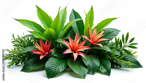 Wallpaper Mural Lush Exotic Plant Composition with Decorative Leaves on White Background Torontodigital.ca